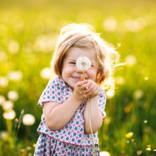 Naturerfahrungen – Ein kleines Mädchen auf einer grünen Wiese hält eine Pusteblume fest.