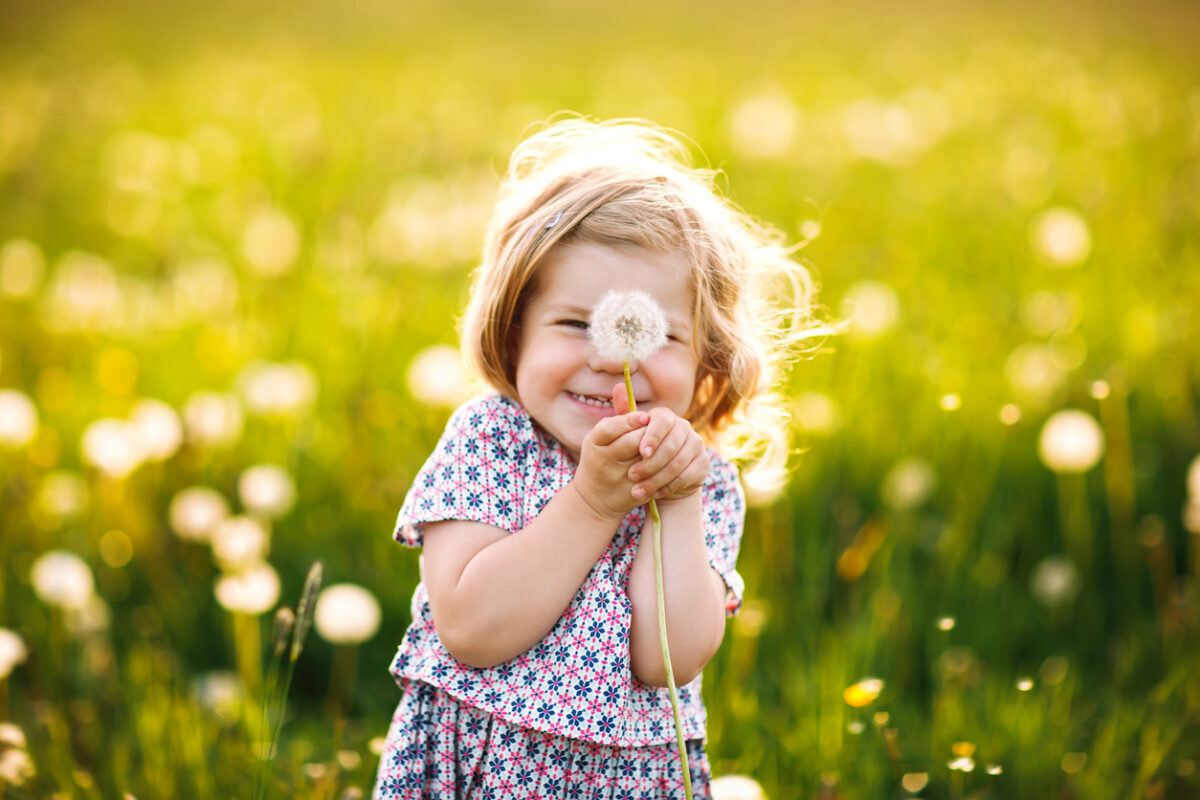 Naturerfahrungen – Ein kleines Mädchen auf einer grünen Wiese hält eine Pusteblume fest.