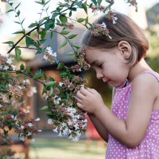 Ungiftige Pflanzen für Kinder – ein Mädchen hält einen blühenden Ast und betrachtet ihn.